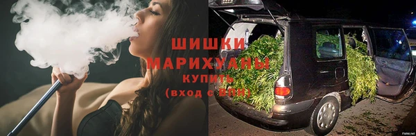 хмурый Инсар