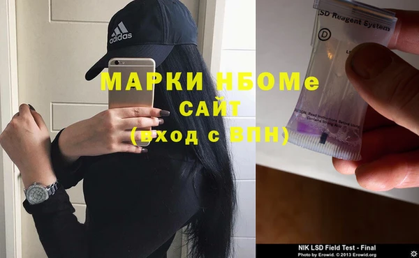 хмурый Инсар