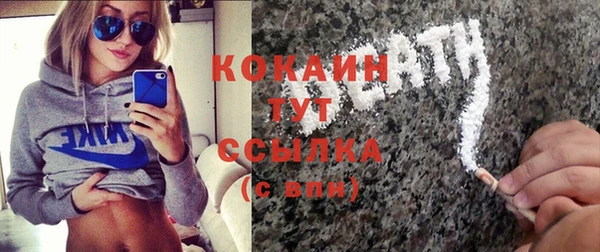 хмурый Инсар