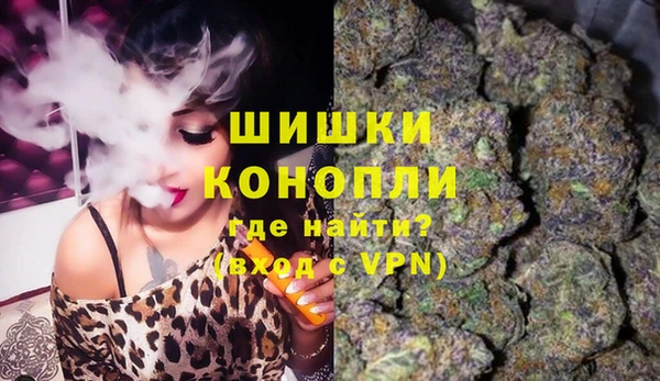 хмурый Инсар