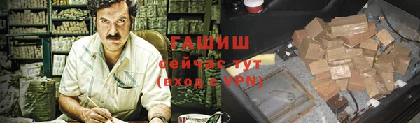 хмурый Инсар