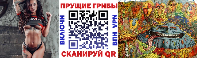 Галлюциногенные грибы Cubensis  Купить где  Кировград 